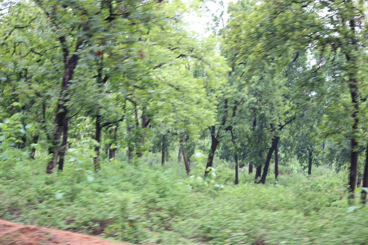 Bed and Breakfast The Residency à Amarkantak Extérieur photo
